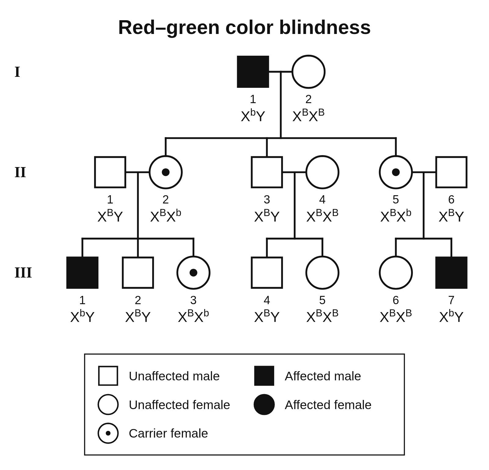 A three-generation pedigree titled Red–green color blindness, with an affected grandfather, carrier daughters drawn with a center dot, two affected grandsons, and each person’s genotype written on X and Y with B or b as a superscript