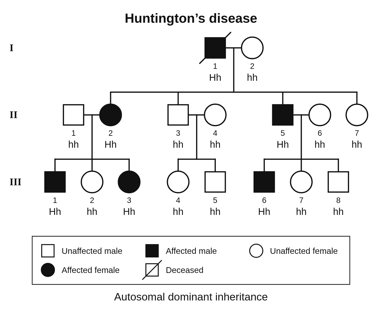 A three-generation pedigree titled Huntington’s disease, with an affected deceased man in generation I, affected people in every generation, Hh or hh written under each person, a key, and the answer key line