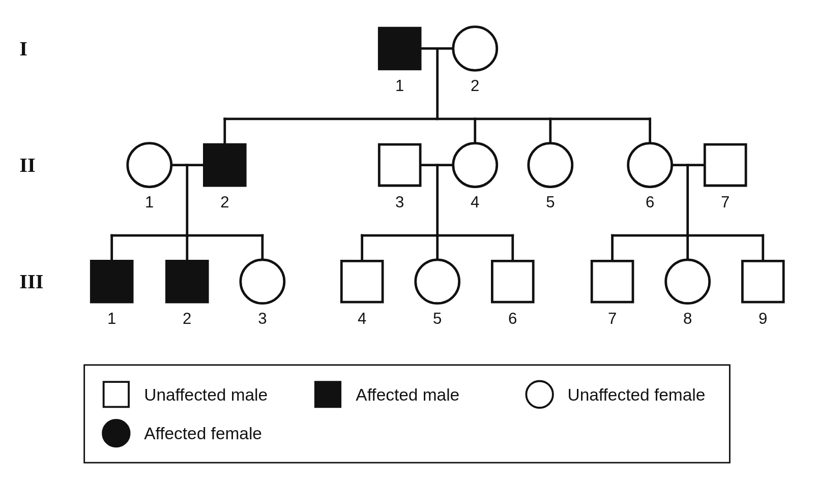 A three-generation pedigree of 18 people in which only I-1, his son II-2 and II-2’s sons III-1 and III-2 are affected, all men, with a key