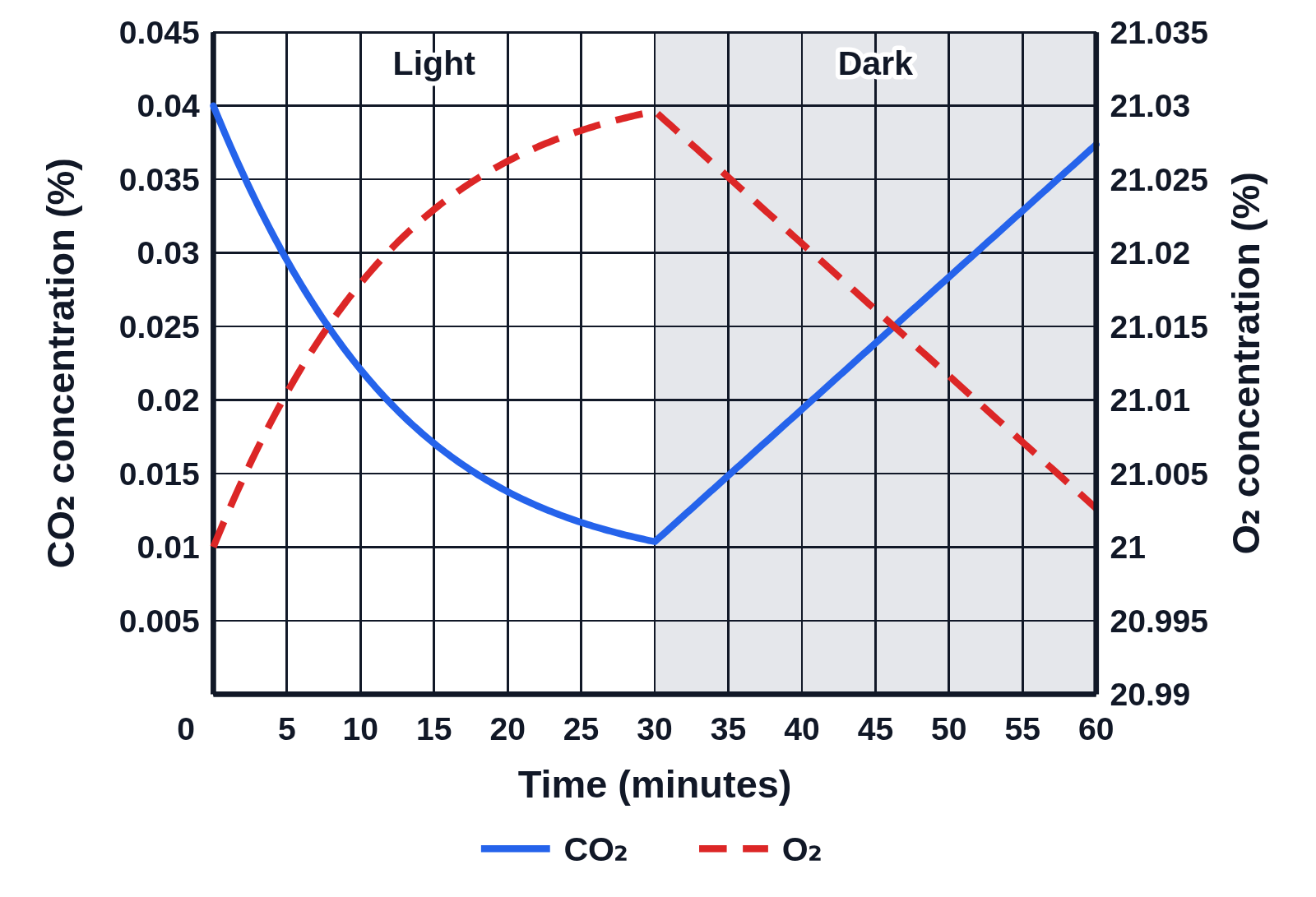 Graph against time in minutes, 0 to 60, on a grid, with CO₂ concentration (%) on the left axis and O₂ concentration (%) on the right: in the first 30 minutes, unshaded and labeled Light, the solid blue CO₂ line falls from 0.04 % toward 0.01 % while the dashed red O₂ line rises from 21 % to about 21.03 %; in the shaded half labeled Dark, CO₂ rises and O₂ falls in straight lines
