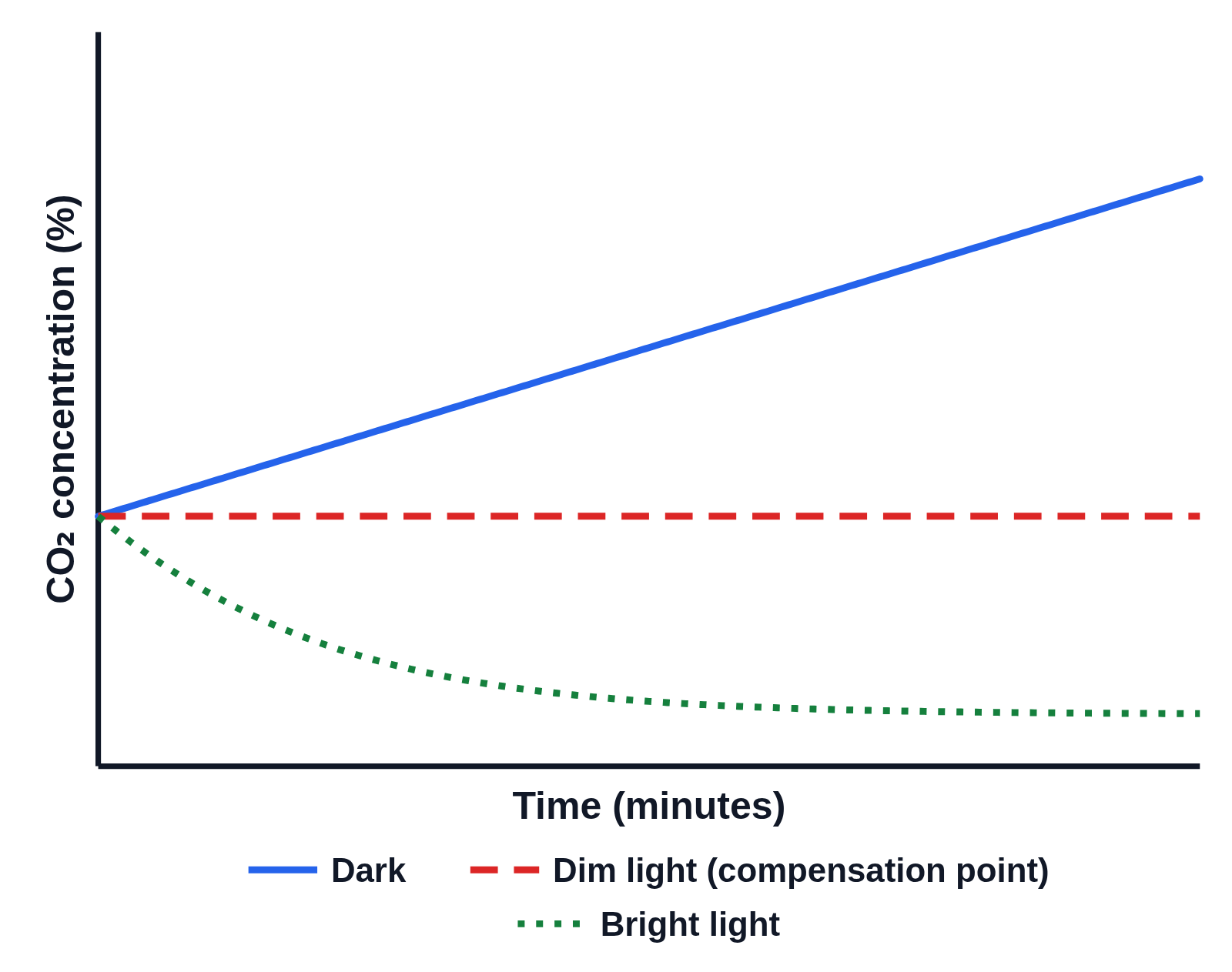 Graph of CO₂ concentration (%) against time (minutes) with no numbers on the axes: from one starting point, a solid blue line labeled Dark rises steadily, a dashed red line labeled Dim light (compensation point) stays level, and a dotted green line labeled Bright light falls and levels off near the bottom, with a key under the graph