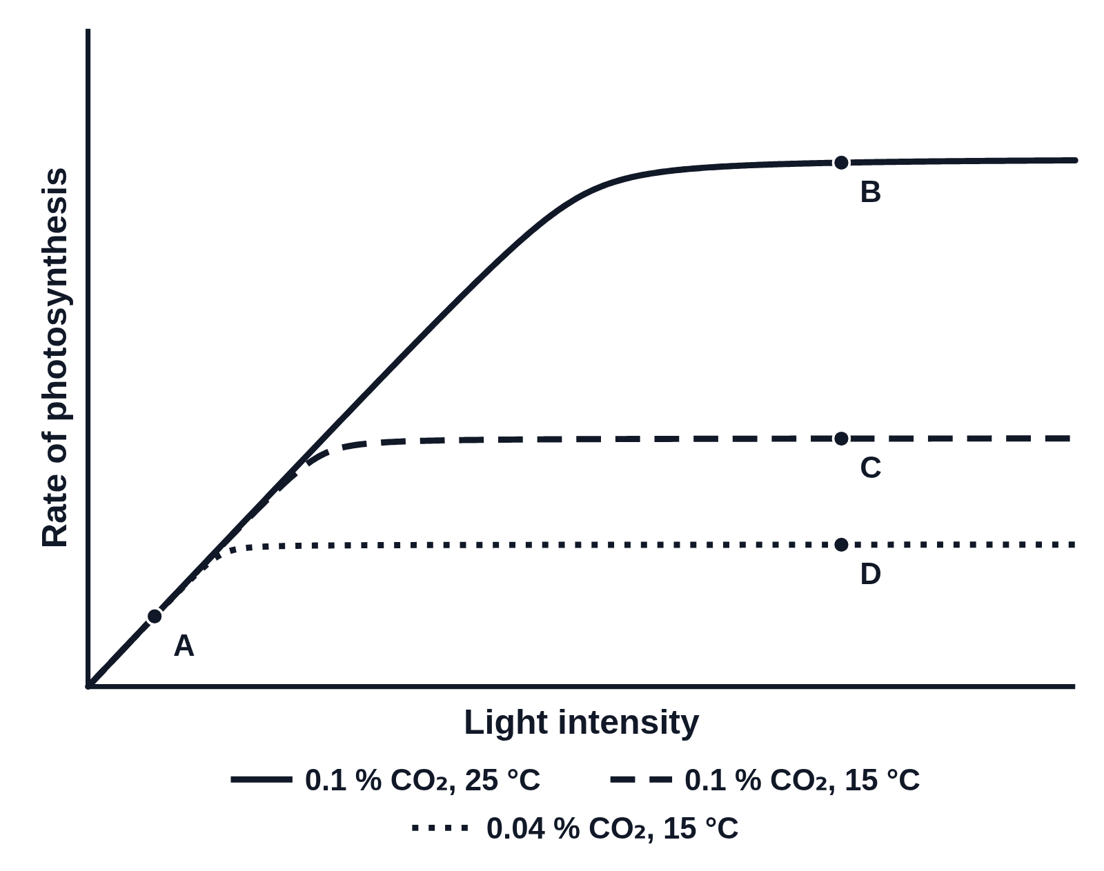 Black and white graph of rate of photosynthesis against light intensity with no numbers on the axes: a solid, a dashed and a dotted curve rising together and levelling off at three heights, with point A on the shared straight rise and points B, C and D on the three plateaus at the same light intensity, and a key naming 0.1 % CO₂ at 25 °C, 0.1 % CO₂ at 15 °C and 0.04 % CO₂ at 15 °C
