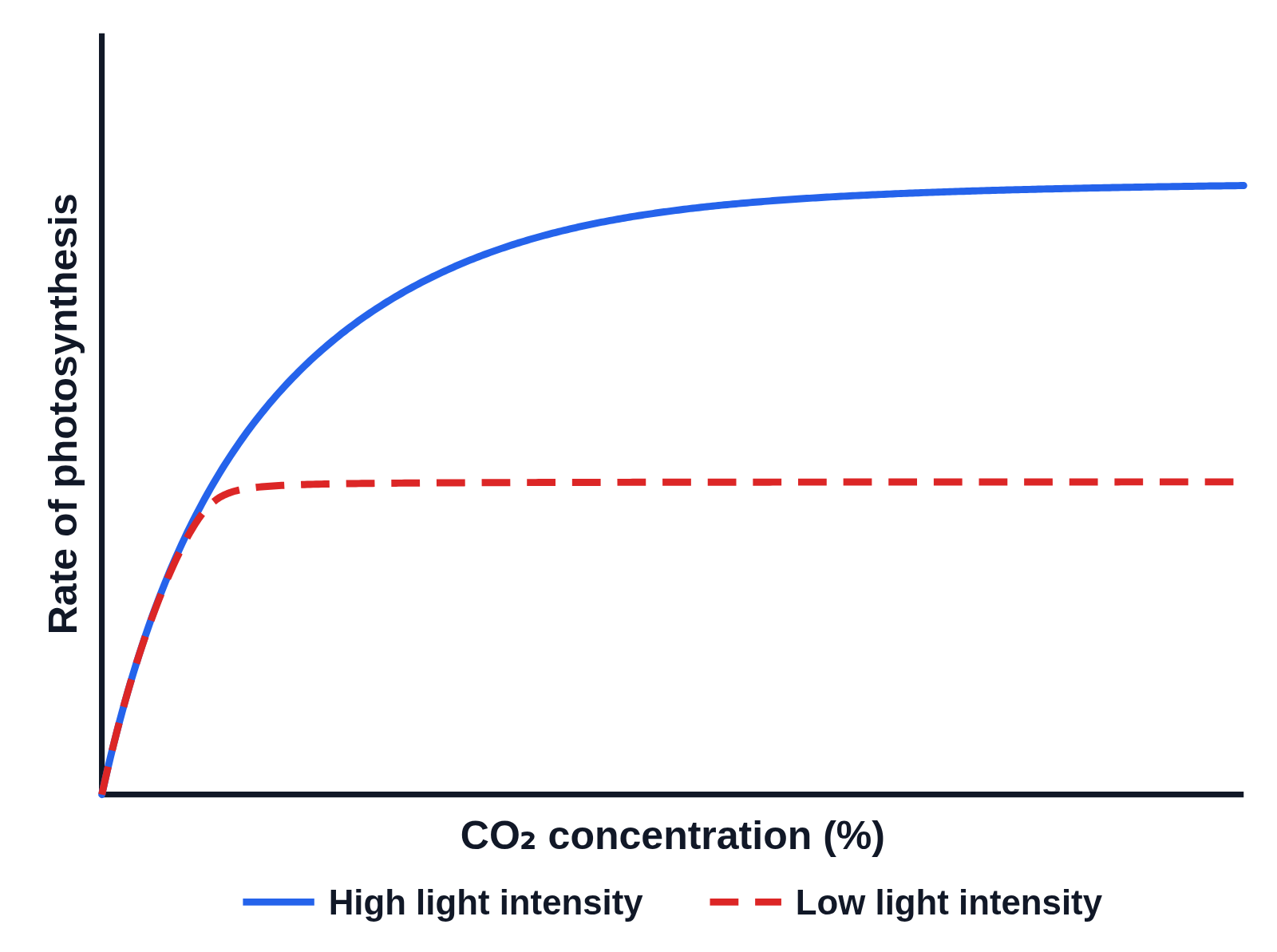 Graph of rate of photosynthesis against CO₂ concentration (%) with no numbers on the axes: two curves rising together, the dashed red low light intensity curve levelling off early and low and the solid blue high light intensity curve rising further and levelling off about twice as high, with a key under the graph
