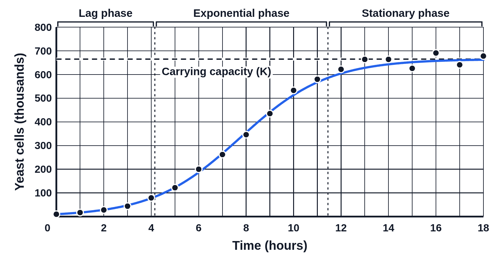 Logistic growth curve of yeast cells in thousands over 18 hours with hourly census dots scattered near it, a dashed carrying capacity line at 665, and brackets above labeled Lag phase, Exponential phase and Stationary phase