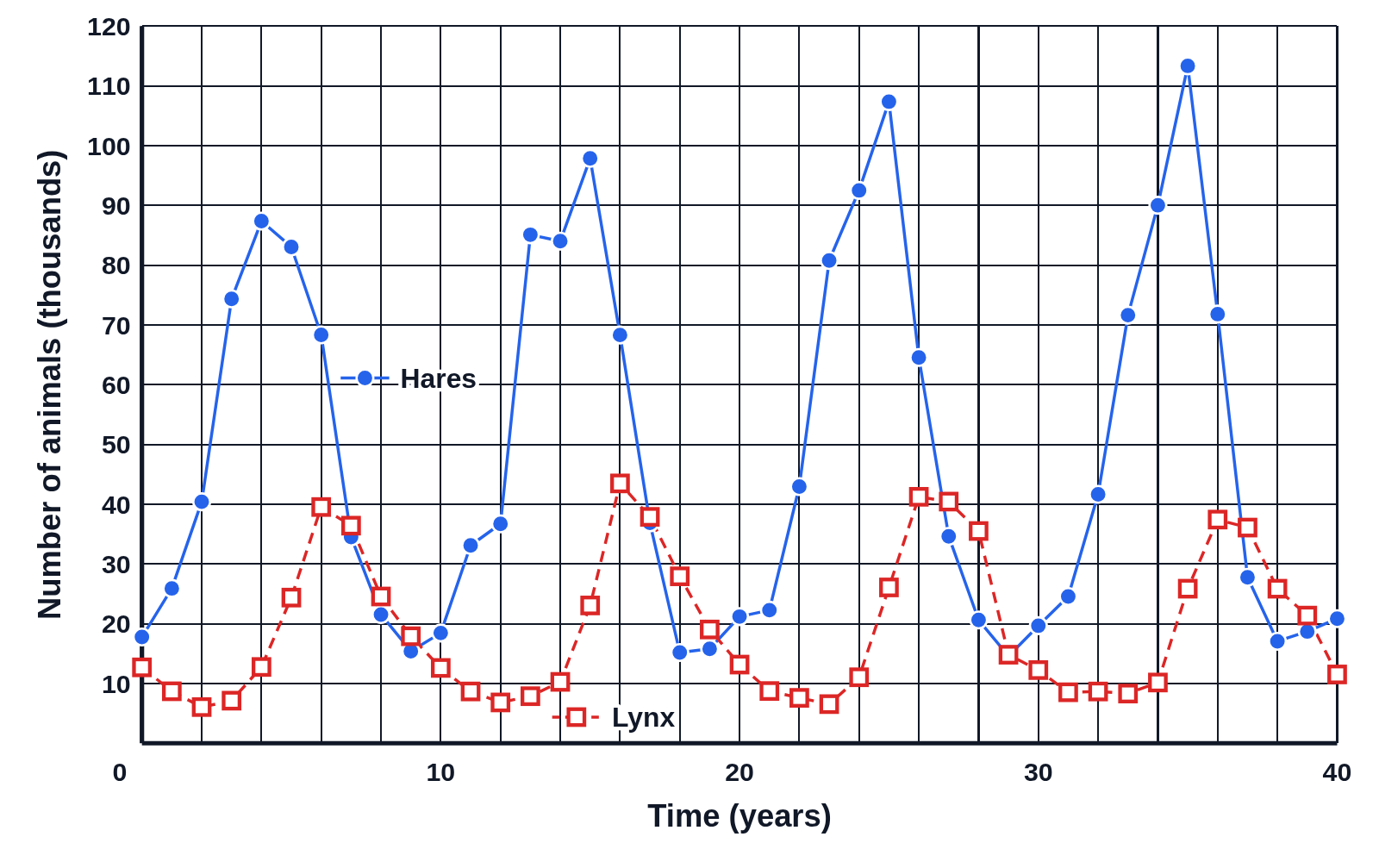 Graph of yearly census counts of hares (blue dots joined by a solid line) and lynx (red open squares joined by a dashed line), in thousands, over 40 years, rising and falling in four uneven cycles