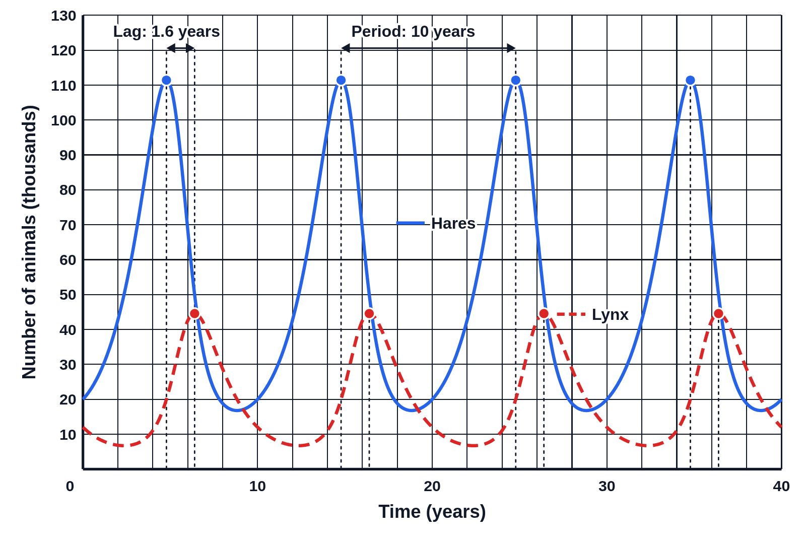 Graph of snowshoe hare and Canada lynx populations in thousands over 40 years, hares a solid blue line and lynx a dashed red line, each peak marked with a dot and a dotted line, with arrows labeled “Lag: 1.6 years” and “Period: 10 years”