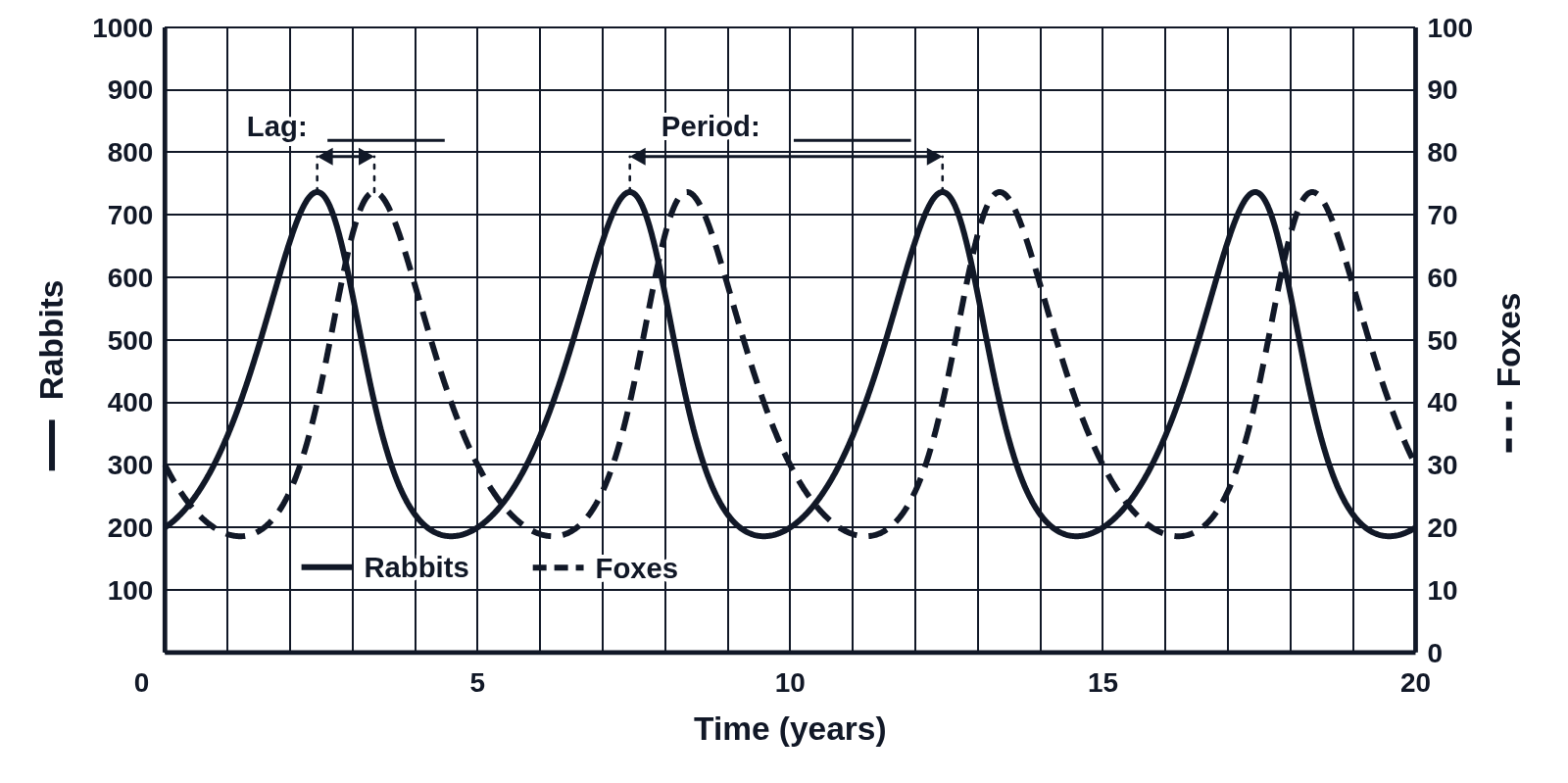Black and white graph of rabbits (solid line, left axis 0 to 1000) and foxes (dashed line, right axis 0 to 100) over 20 years, with arrows labeled “Lag:” and “Period:” followed by blank lines
