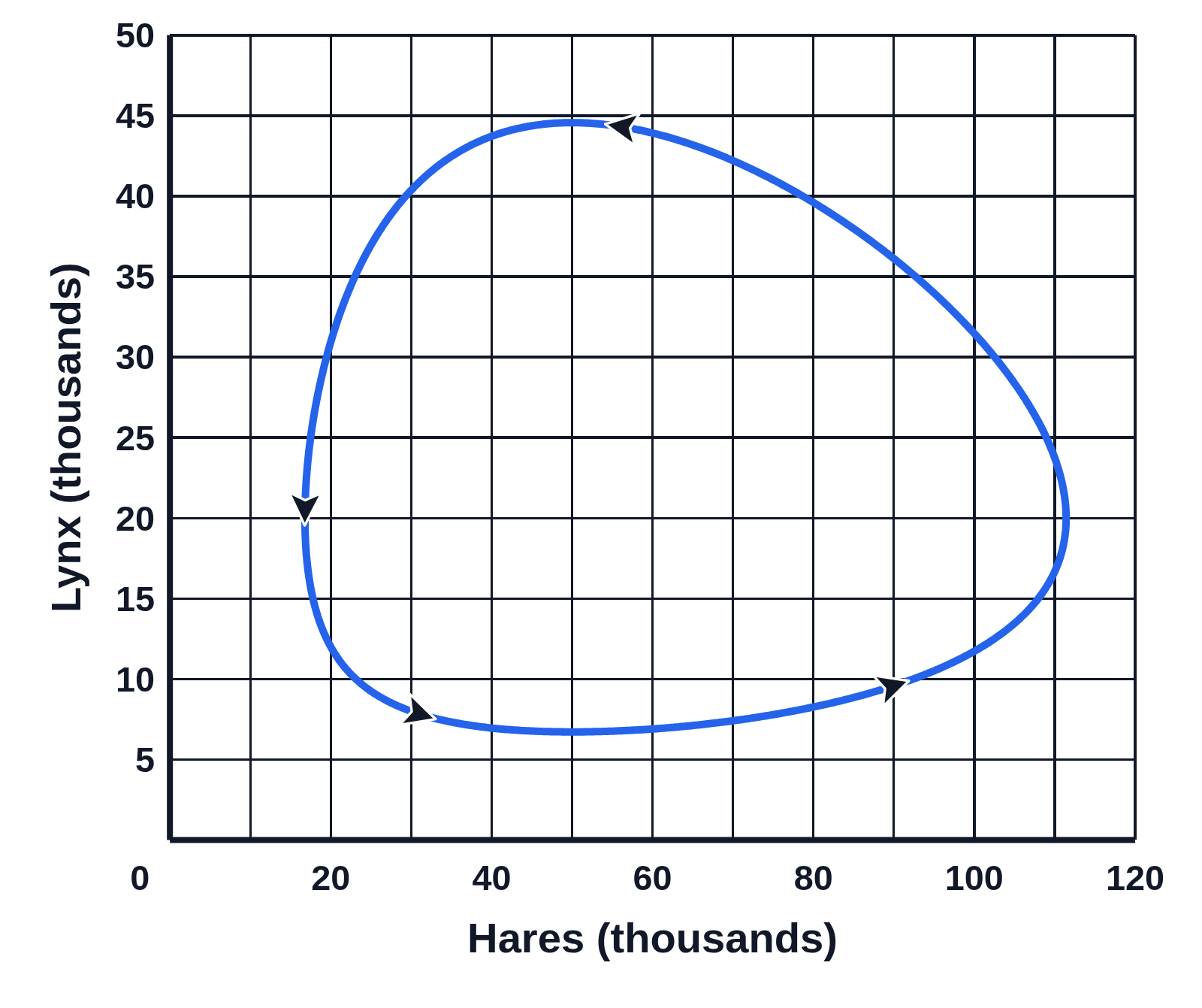 Phase plane graph with hares (thousands) on the x-axis and lynx (thousands) on the y-axis: a closed blue loop with four arrows going round it counterclockwise