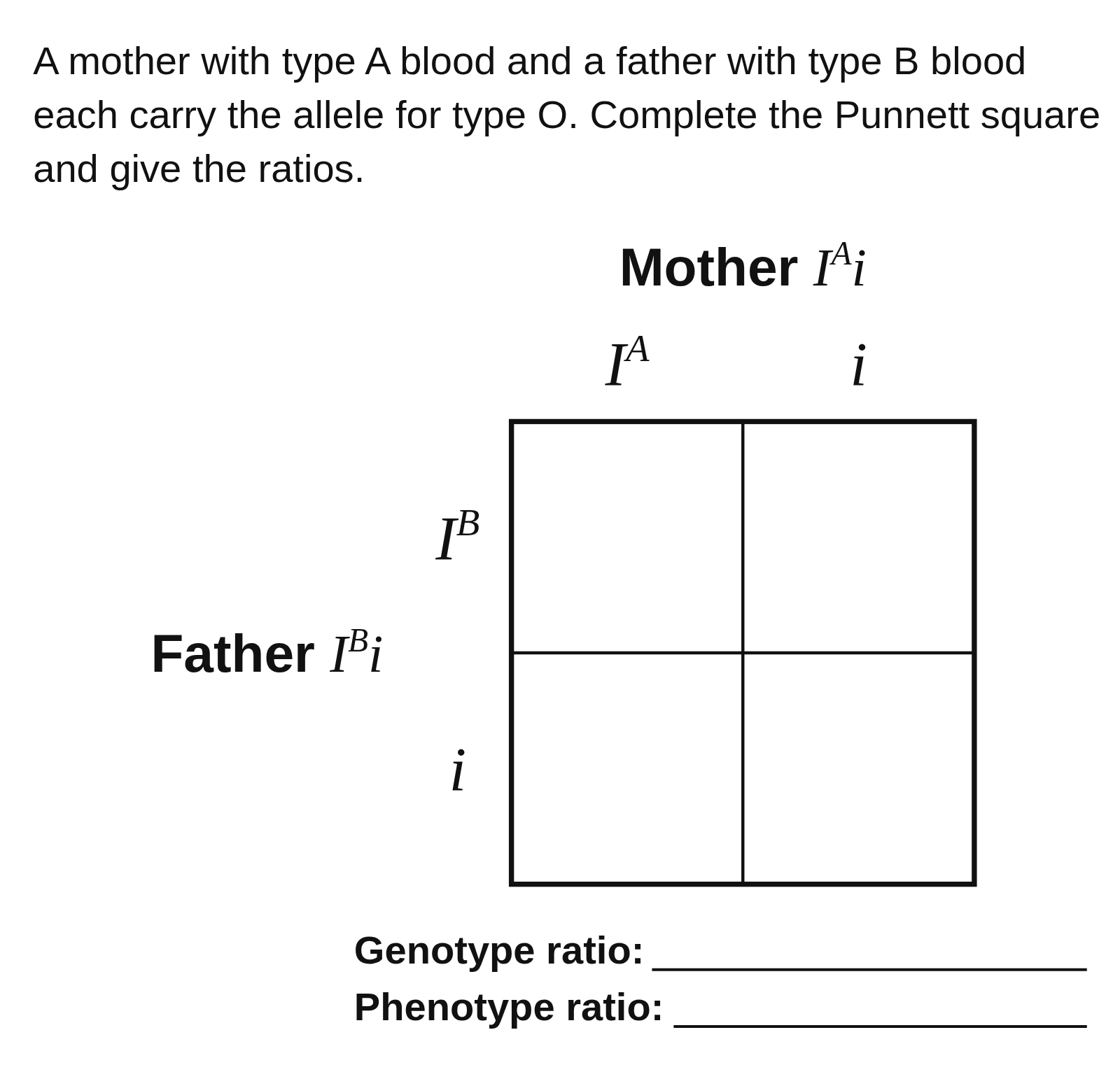 A blank Punnett square under a question about blood type, with Mother Iᴬi across the top and Father Iᴮi down the side, gametes Iᴬ and i and Iᴮ and i, four empty cells, and blank lines for the genotype and phenotype ratios